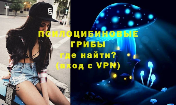 тгк Алзамай