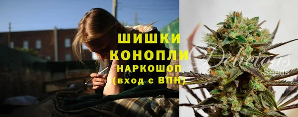 шишки Алексеевка